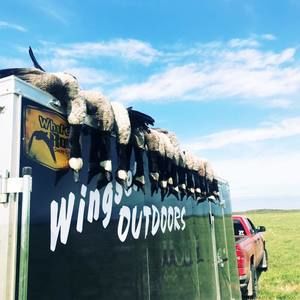 Meet your Posher, Dalton